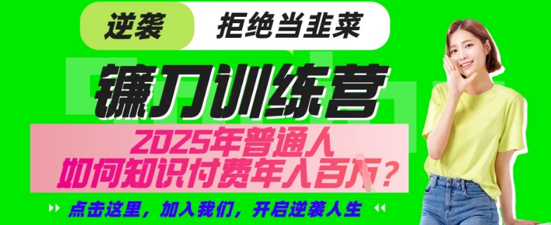 网创项目终点站：普通人如何通过知识付费实现年入百万-挪课网