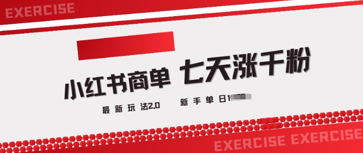 小红书商单2.0：3天涨千粉，单日轻松变现-挪课网