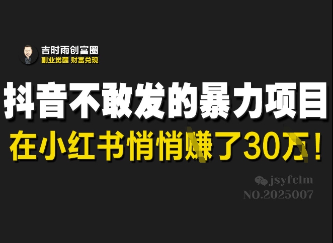 抖音禁止的高收益项目如何在小红书年入30万？-挪课网