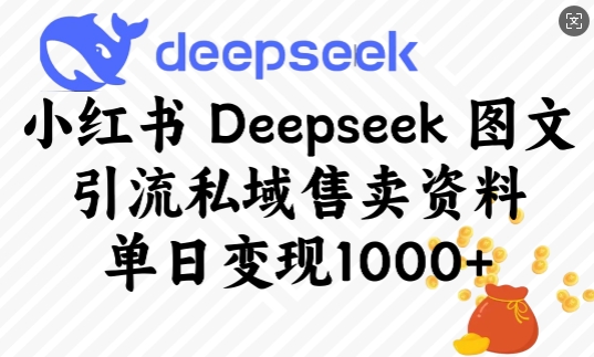 小红书Deepseek引流+私域变现技巧，单日多笔高效转化-挪课网
