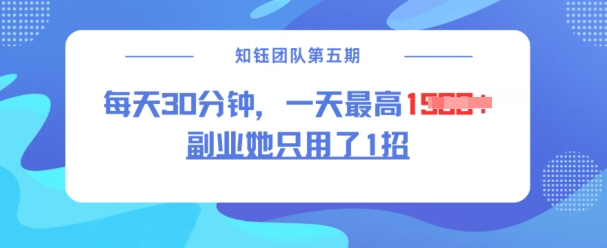 副业零门槛，日入1.5k，仅需每日半小时-挪课网