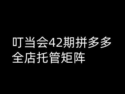 叮当会高阶技术：拼多多店铺托管矩阵第42期-挪课网