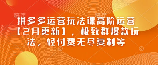 拼多多高阶运营：极致群爆款玩法与轻付费策略-挪课网