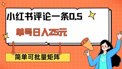小红书评论轻松月入过万【揭秘】-挪课网