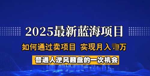 2025蓝海项目：普通人轻松掌握卖项目实战技巧，月入过万快速实现-挪课网