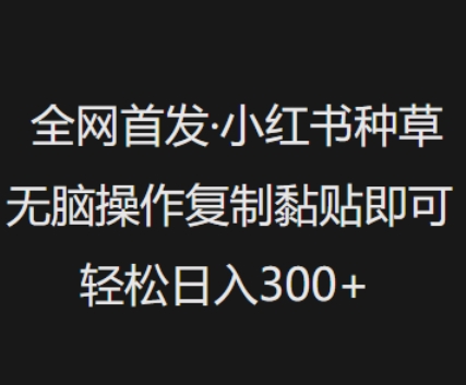 小红书种草零门槛技巧：轻松日入3张-挪课网
