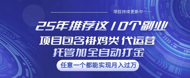 2023年盘点10大热门副业项目——涵盖褂鸡类、代运营托管类、全自动打金类【揭秘】-挪课网