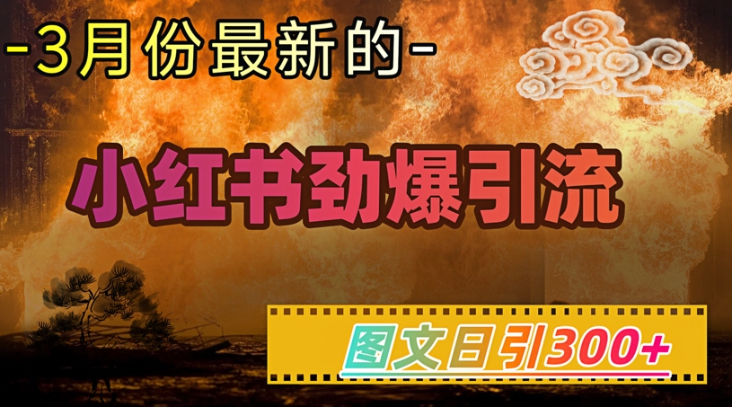 小红书高效引流方法，图文日引300+轻松月入1万-挪课网