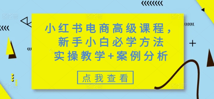 小红书电商高阶课程：新手必学技巧，实操与案例解析-挪课网