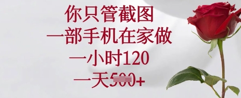 一部手机在家做截图任务，一小时赚120，一天5张轻松实现-挪课网