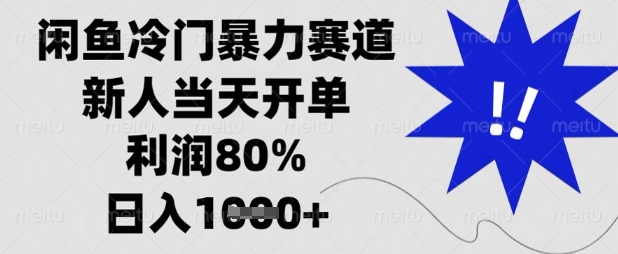 闲鱼冷门高收益项目：新人当天开单，高利润日入过万【深度解析】-挪课网