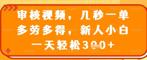 审核视频快速赚钱：几秒一单，多劳多得，新手轻松达成每日目标-挪课网