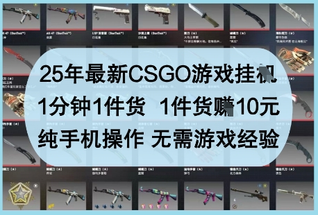 25年最新CSGO游戏挂G，1分钟1件货，1件货挣10元，纯手机操作，无需游戏经验【揭秘】-挪课网