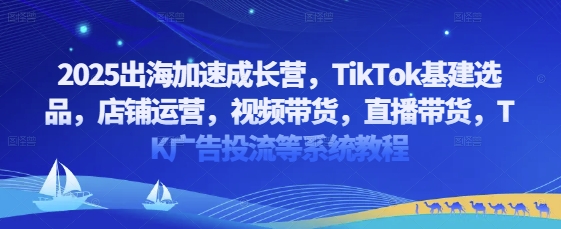 2025出海加速成长营，TikTok基建选品，店铺运营，视频带货，直播带货，TK广告投流等系统教程-挪课网