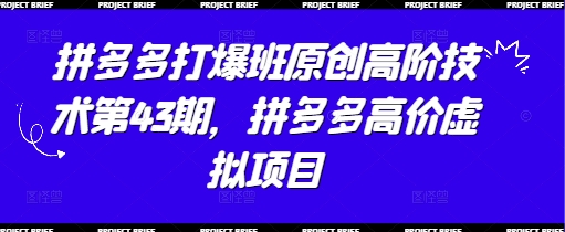 拼多多打爆班原创高阶技术第43期，拼多多高价虚拟项目-挪课网